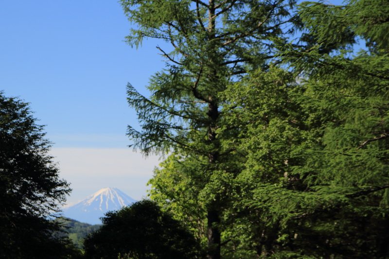 24.富士見平_小屋前からの富士山