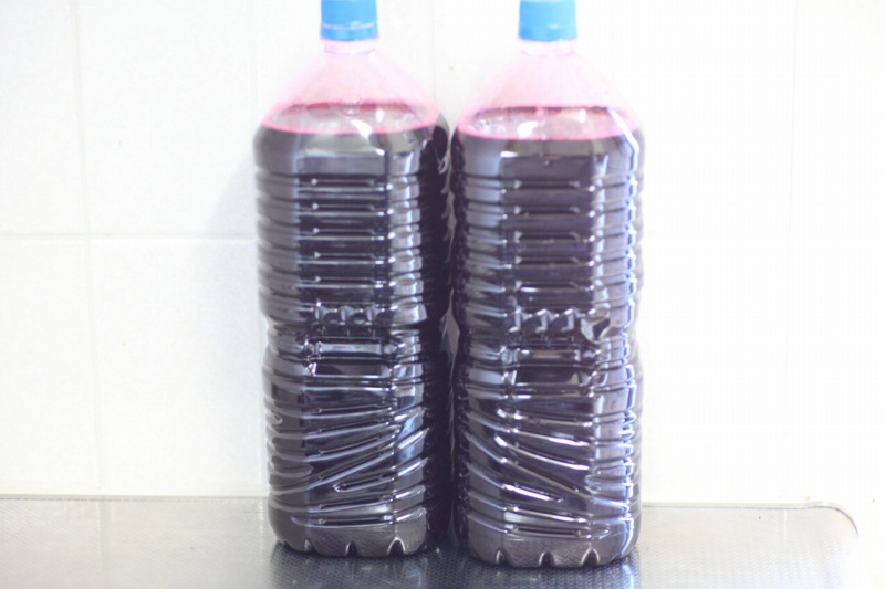 赤紫蘇ジュースの作り方の手順6_容器に保存