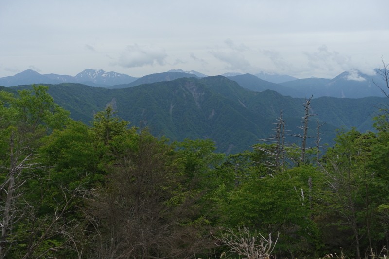 山伏岳から見た南アルプス