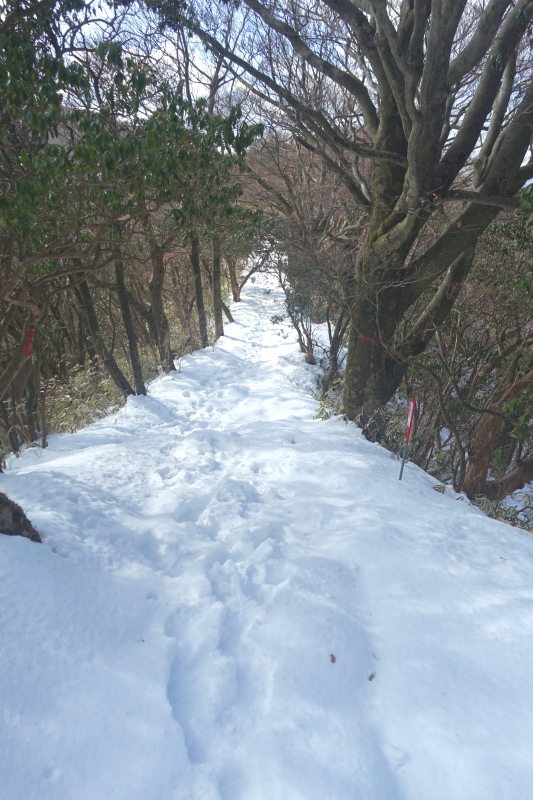 1047_丸岳への登山道