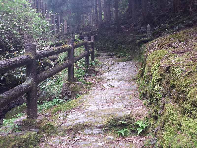 2016-05-03 08.41.47_横峰寺に登る山の遍路道