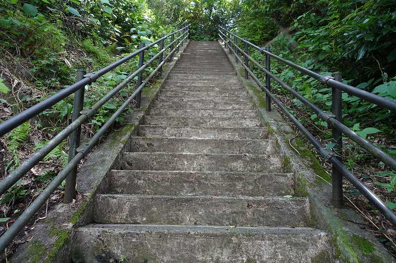 ③金櫻神社参道の石の階段2