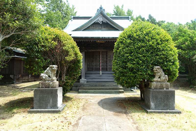 ⑤金櫻神社本殿と狛犬