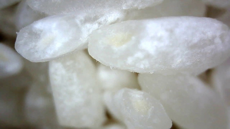 米麹作り2_作り方9：手入1_顕微鏡で見た米粒1