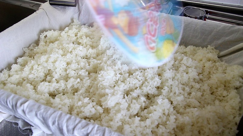 米麹作り2_作り方5：冷却_うちわであおいで米を冷ます