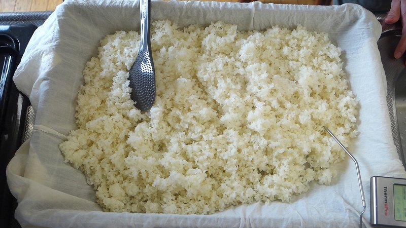 米麹作り2_作り方5：冷却_平らに広げる