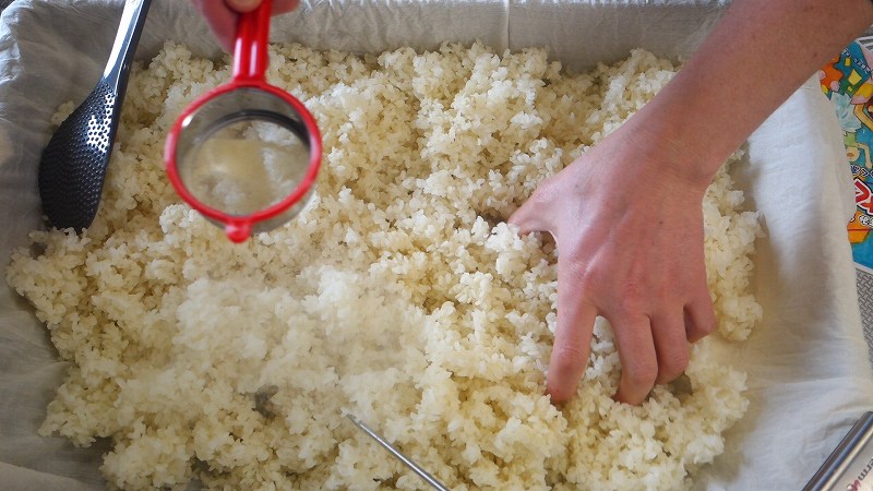 米麹作り2_作り方6：種付_種麹をふりかける