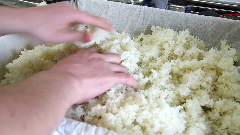 米麹作り2_作り方6：種付_混ぜ合わせる