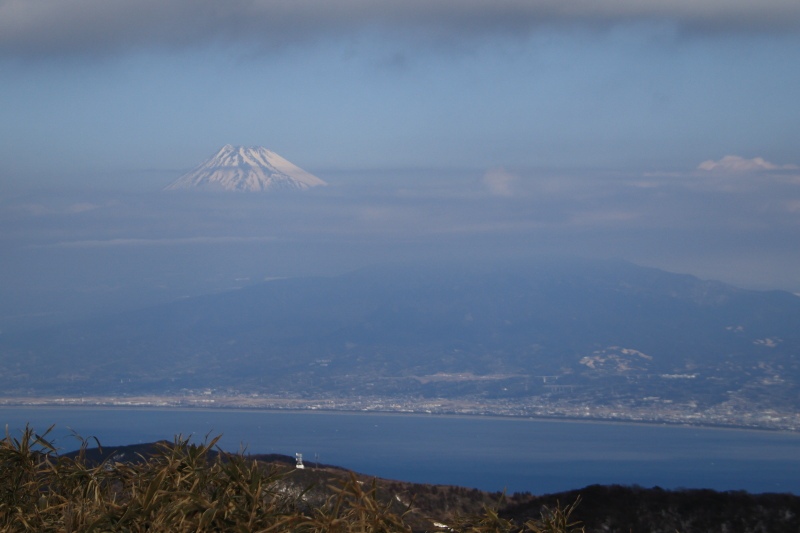 達磨山_山頂からの富士1