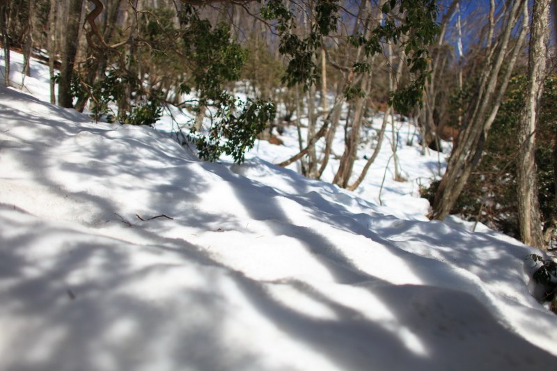 毛無山登山道の雪