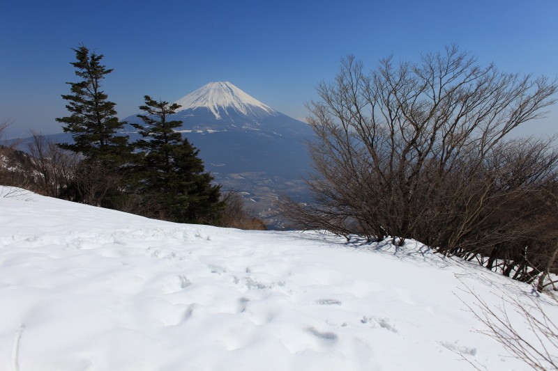 毛無山山頂からの富士山