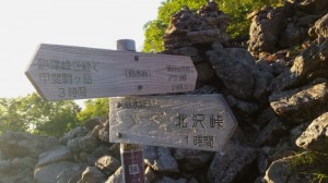 仙水峠の道標