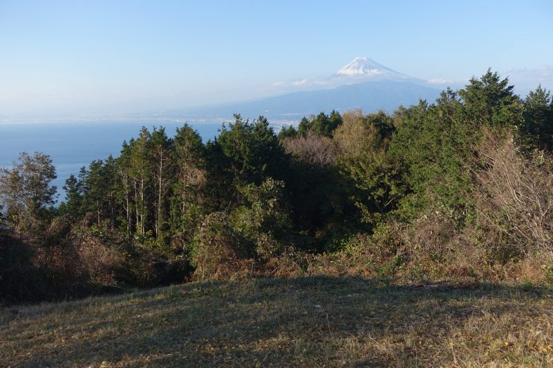 【里山】１時間で富士山と駿河湾の絶景を眺める【発端丈山】