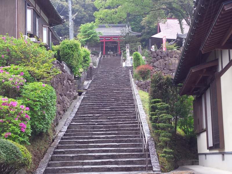 2016-04-23 16.19.45_龍光寺への階段