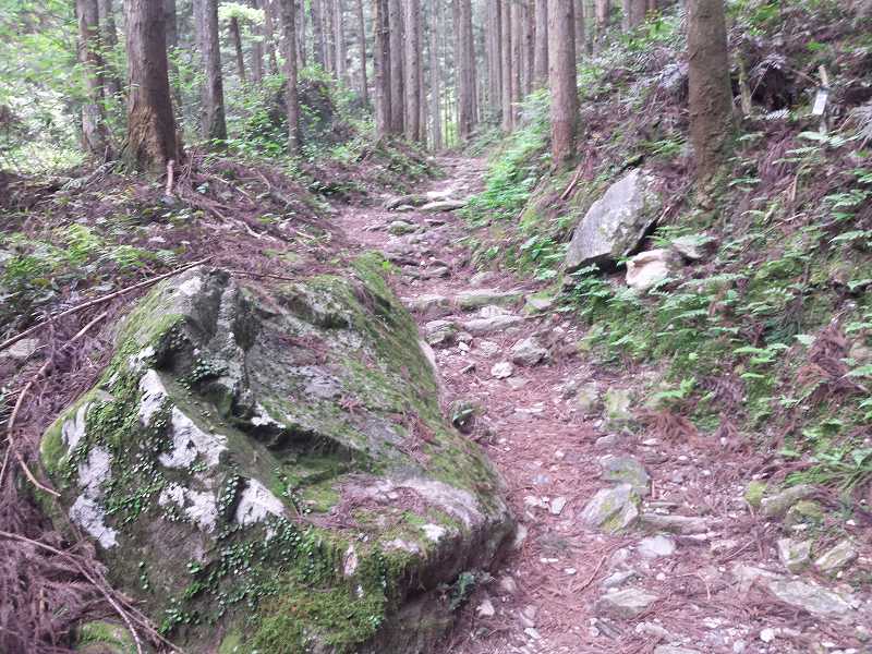 2016-05-03 08.22.50_横峰寺に登る山の遍路道