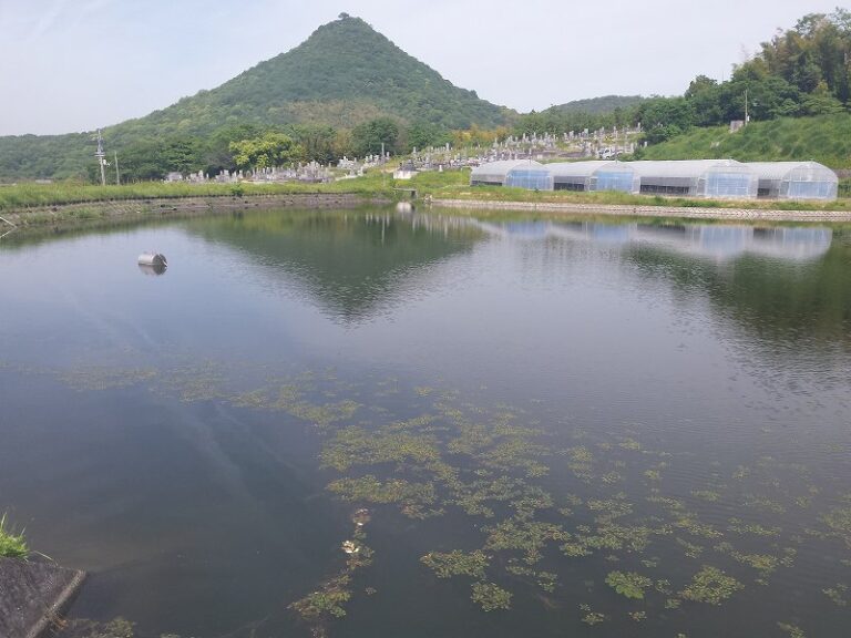 2016-05-08 09.37.38_ため池と小さな山