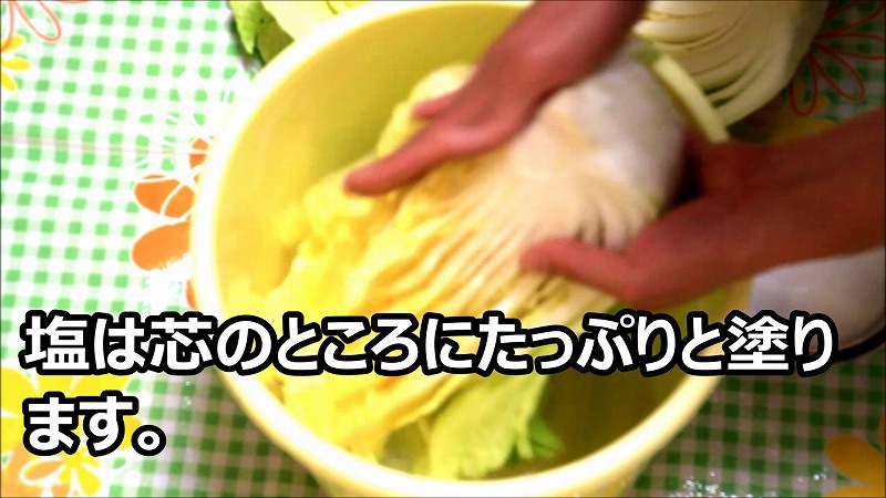 白菜のキムチ漬けを作ろう！_作り方3_塩をまぶす