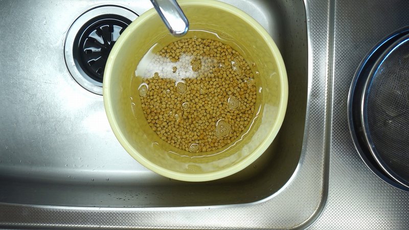 乾燥米麹で味噌作り1-仕込み編2-2_たっぷりの水に浸す