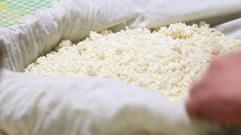 米麹作り2_作り方10：手入2_少し黄いばんできた米