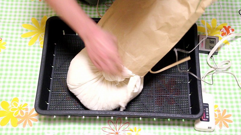 米麹作り2_作り方9：手入1_米袋から育苗箱に出す