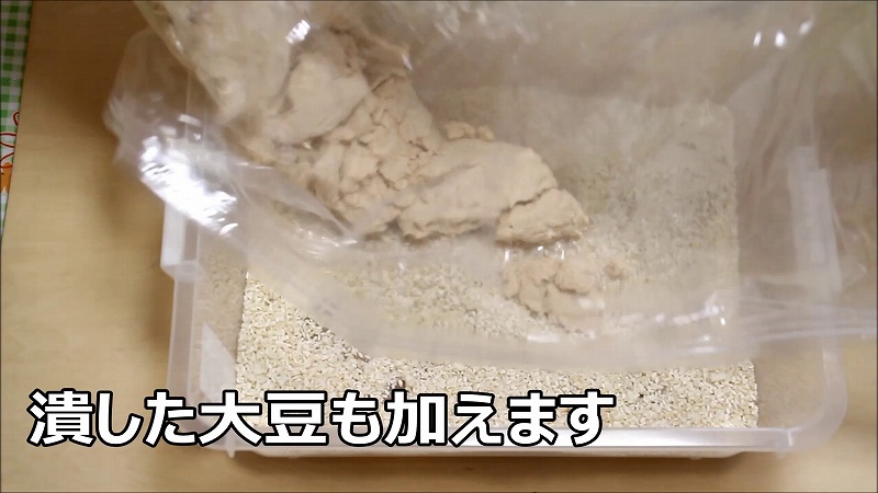 自家製米麹で味噌作りの工程14_大豆を加える