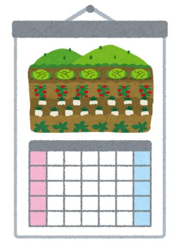 【ソライロ農園1年目】春の菜園計画【4月前半】