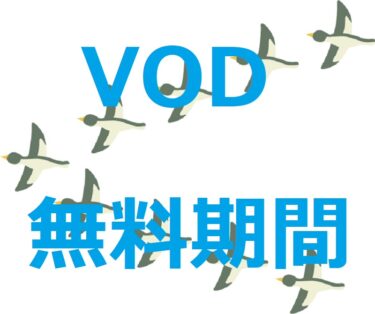 【最大300日間無料】VODの無料期間を最大限活かす方法【渡り鳥方式】