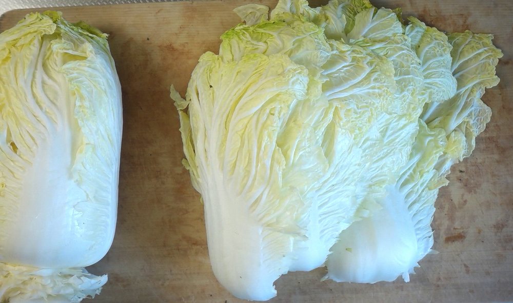 白菜の即席漬けの作り方1_ちぎった白菜の葉